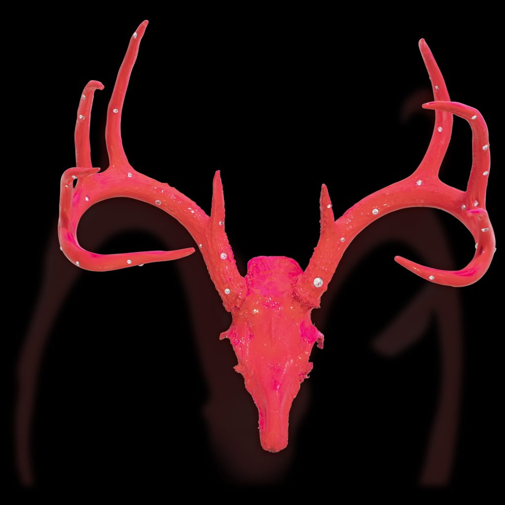 Pink Antler Head
