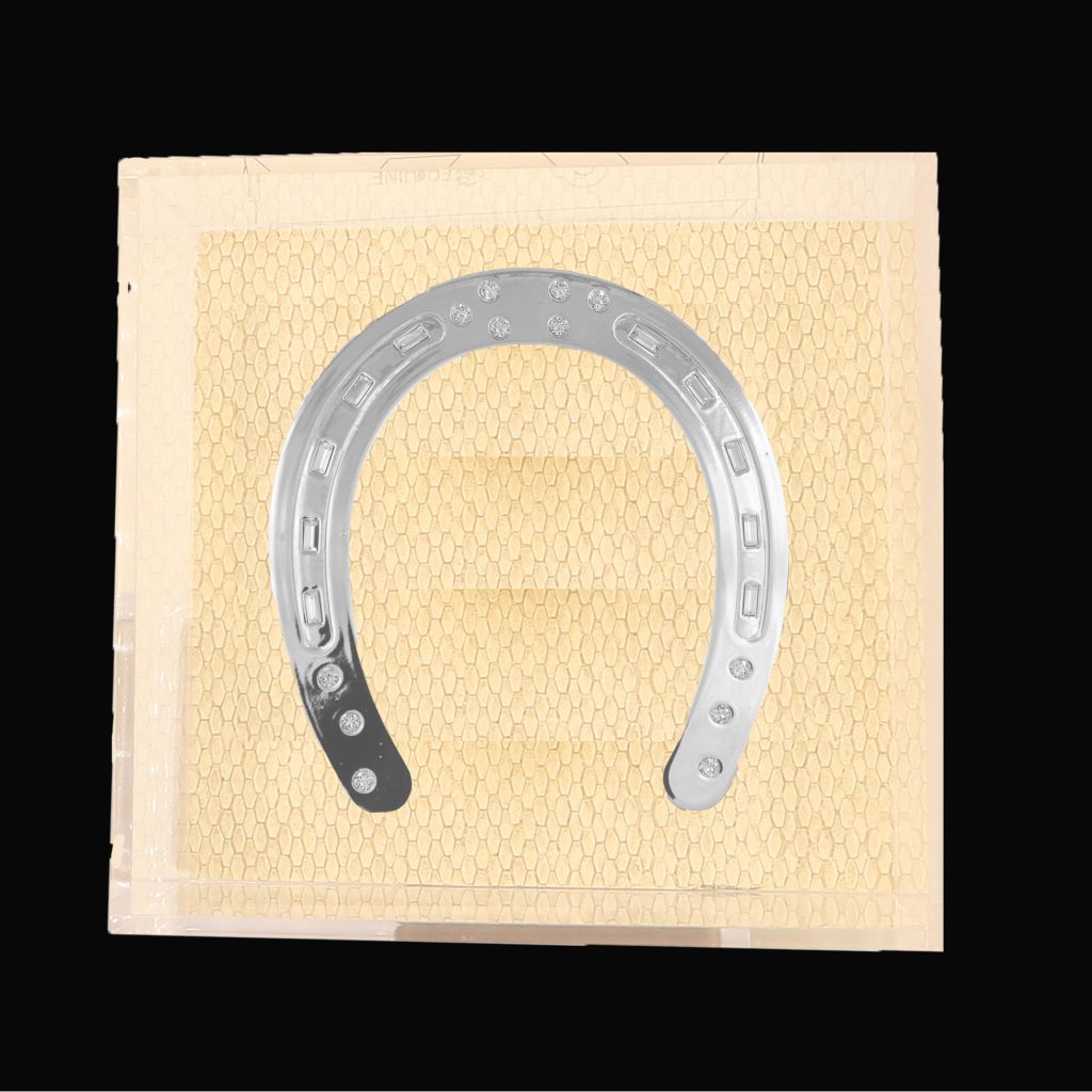 Horseshoe of Bling Platinum Art